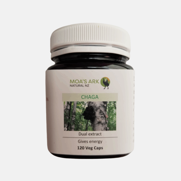 Premium chaga mushroom extract capsules - best immune support supplement for biohackers