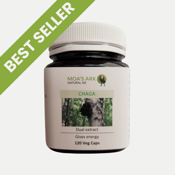 Best Seller: Premium chaga mushroom extract capsules - best immune support supplement for biohackers