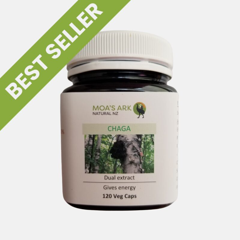 Chaga Mushroom Extract 1 Best Seller: Premium chaga mushroom extract capsules - best immune support supplement for biohackers
