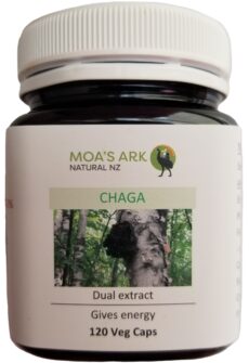 Chaga Mushroom Extract 120 Veg Capsules