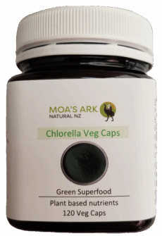 Chlorella Supergreen ctg Natural Organic Chlorophyll Nutrients and Vitamins 120 Capsules