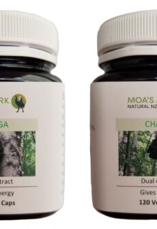 Chaga Mushroom Twin Pack
