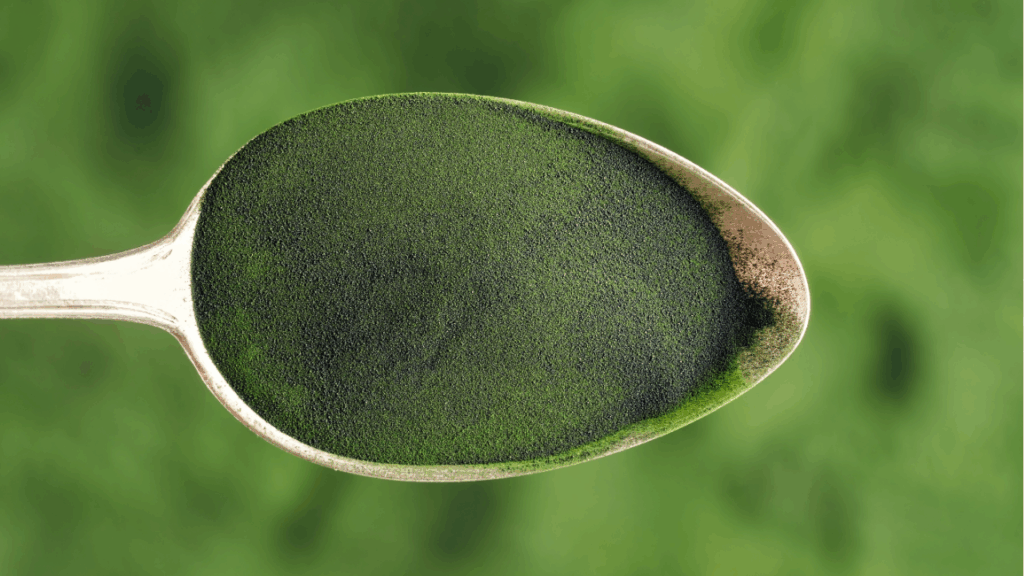 Chlorella