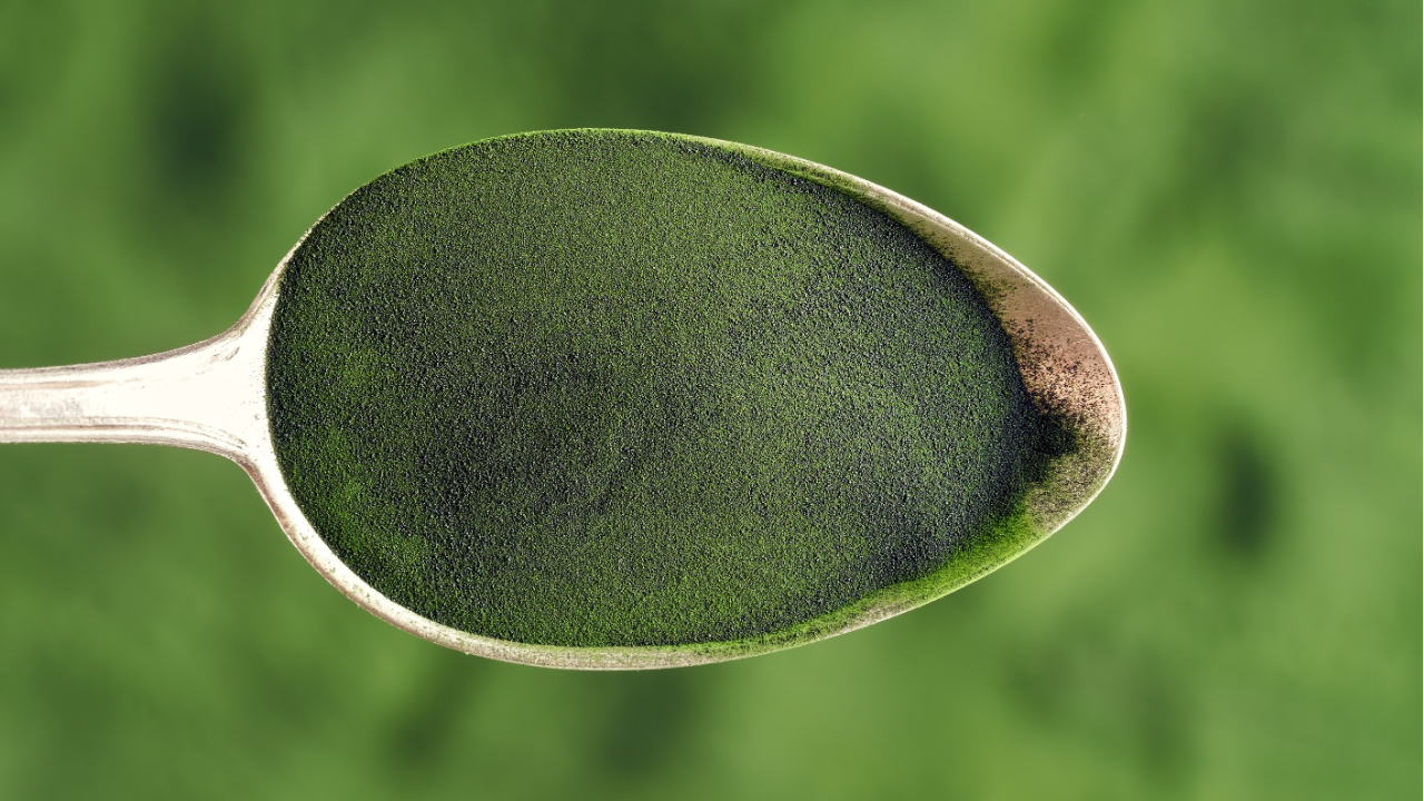 Chlorella