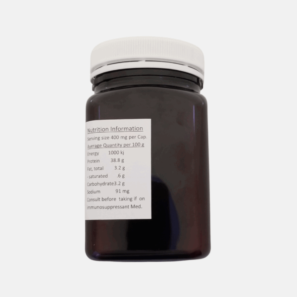 Chaga tea bags with black tea and vanilla - immune-supporting herbal blend