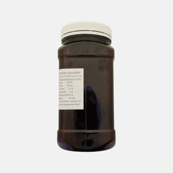 Chaga tea bags with black tea and vanilla - immune-supporting herbal blend